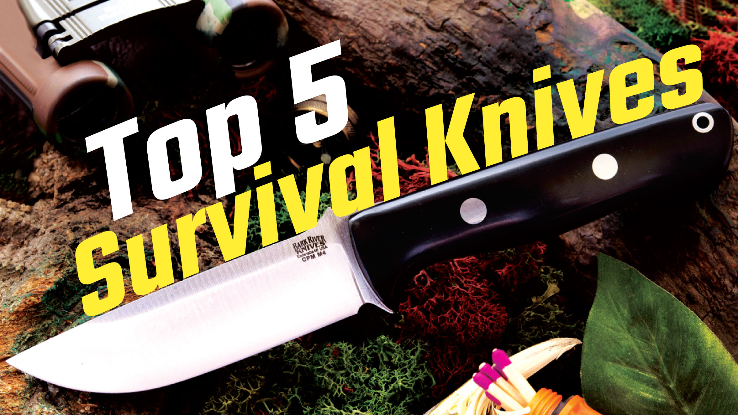 Top 5 Survival Knives to Survive in Extreme Conditions