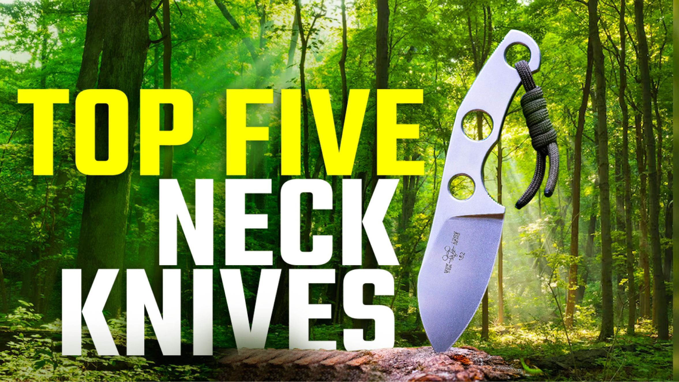 Read more about the article Survival Neck Knives